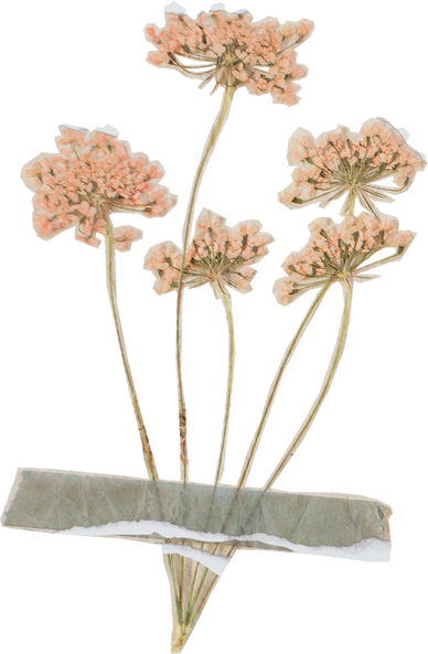 Vintage Feminine Romantic Taped Flowers Cutout